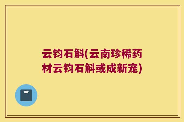 云钧石斛(云南珍稀药材云钧石斛或成新宠)