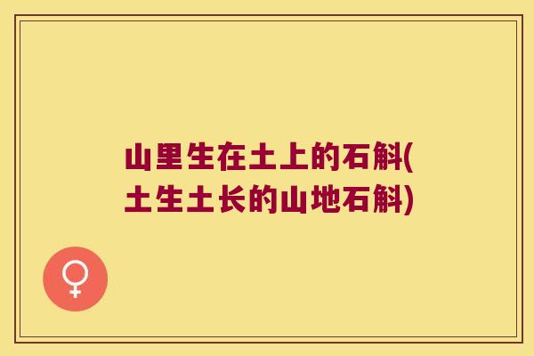 山里生在土上的石斛(土生土长的山地石斛)