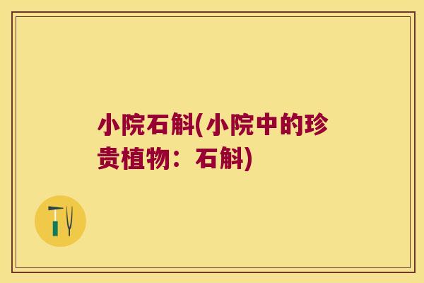 小院石斛(小院中的珍贵植物：石斛)