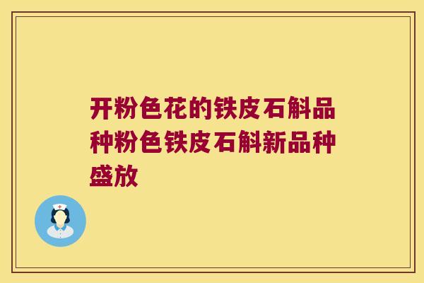 开粉色花的铁皮石斛品种粉色铁皮石斛新品种盛放 开粉色花的铁皮石斛品种粉色铁皮石斛新品种盛放