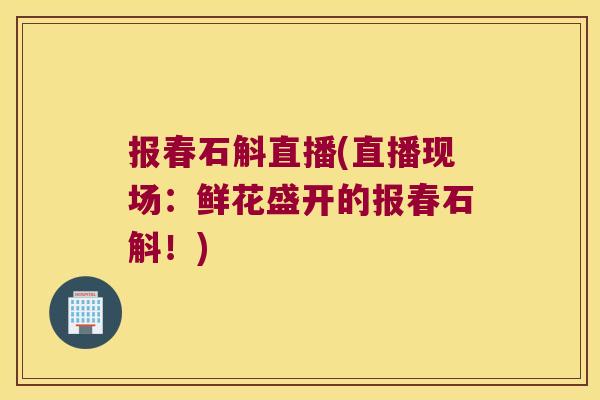 报春石斛直播(直播现场:鲜花盛开的报春石斛!) 报春石斛直播(直播现场:鲜花盛开的报春石斛!)