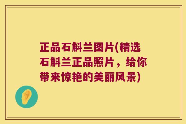 正品石斛兰图片(精选石斛兰正品照片，给你带来惊艳的美丽风景)