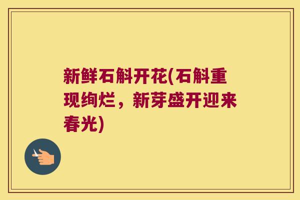 新鲜石斛开花(石斛重现绚烂,新芽盛开迎来春光) 新鲜石斛开花(石斛重现绚烂,新芽盛开迎来春光)