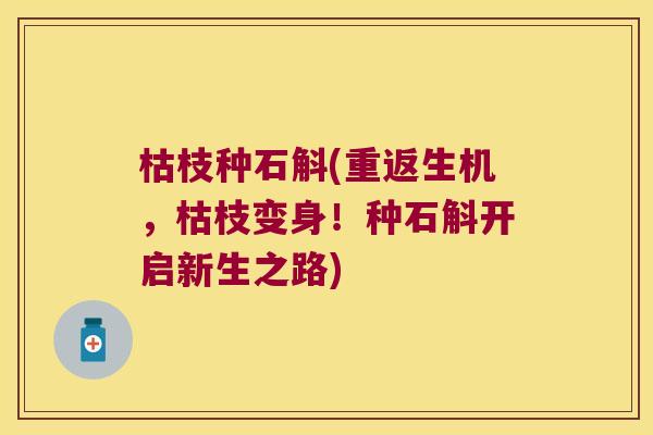 枯枝种石斛(重返生机，枯枝变身！种石斛开启新生之路)