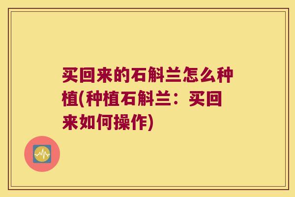 买回来的石斛兰怎么种植(种植石斛兰：买回来如何操作)