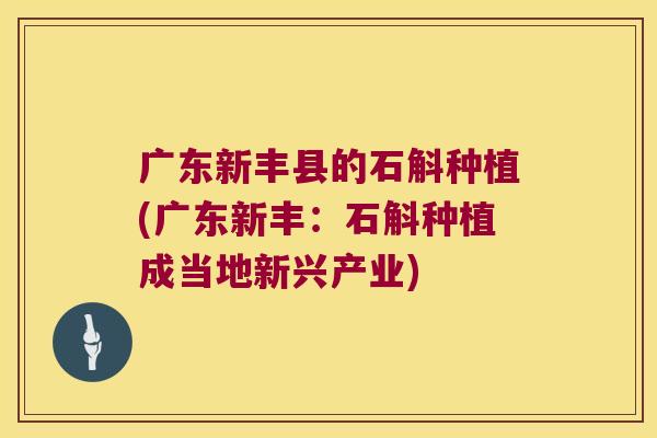 广东新丰县的石斛种植(广东新丰：石斛种植成当地新兴产业)