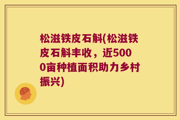 松滋铁皮石斛(松滋铁皮石斛丰收,近5000亩种植面积助力乡村振兴) 松滋铁皮石斛(松滋铁皮石斛丰收,近5000亩种植面积助力乡村振兴)