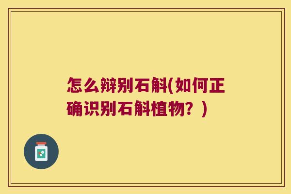 怎么辩别石斛(如何正确识别石斛植物？)