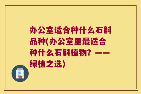 办公室适合种什么石斛品种(办公室里最适合种什么石斛植物？——绿植之选)