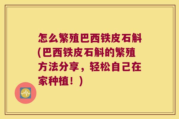 怎么繁殖巴西铁皮石斛(巴西铁皮石斛的繁殖方法分享，轻松自己在家种植！)