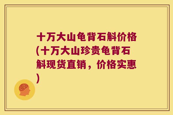 十万大山龟背石斛价格(十万大山珍贵龟背石斛现货直销，价格实惠)