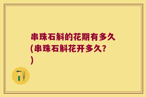 串珠石斛的花期有多久(串珠石斛花开多久？)
