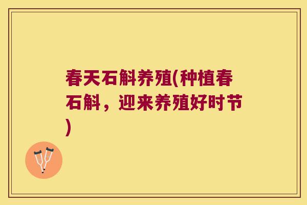 春天石斛养殖(种植春石斛,迎来养殖好时节) 春天石斛养殖(种植春石斛,迎来养殖好时节)