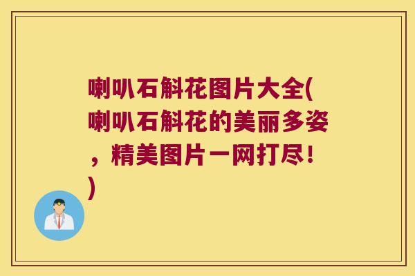 喇叭石斛花图片大全(喇叭石斛花的美丽多姿，精美图片一网打尽！)