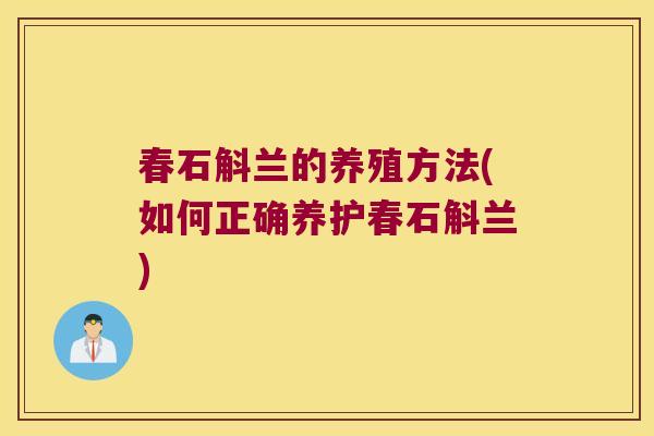 春石斛兰的养殖方法(如何正确养护春石斛兰)
