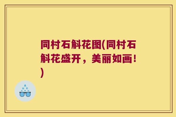 同村石斛花图(同村石斛花盛开，美丽如画！)