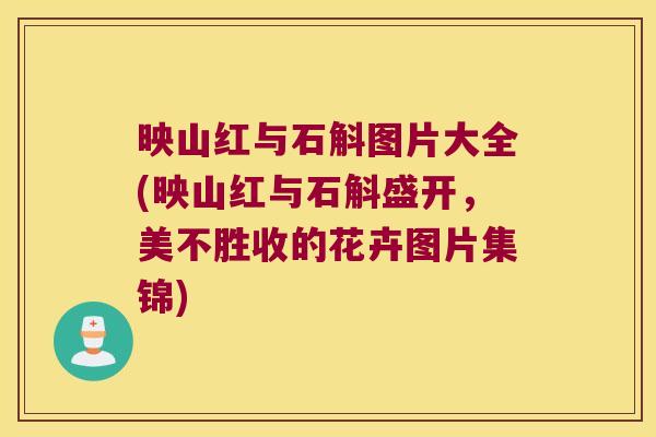 映山红与石斛图片大全(映山红与石斛盛开，美不胜收的花卉图片集锦)