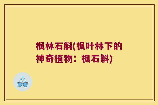枫林石斛(枫叶林下的神奇植物:枫石斛) 枫林石斛(枫叶林下的神奇植物:枫石斛)