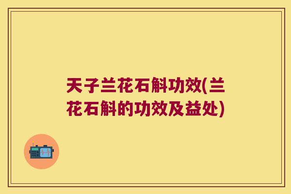 天子兰花石斛功效(兰花石斛的功效及益处)