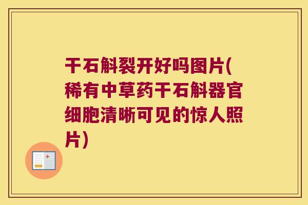 干石斛裂开好吗图片(稀有中草药干石斛器官细胞清晰可见的惊人照片)