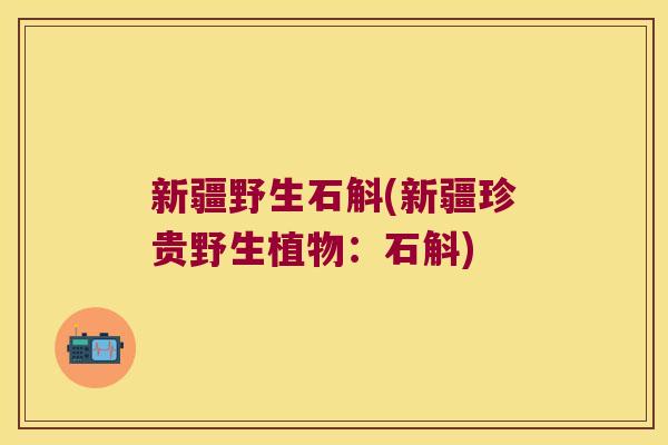 新疆野生石斛(新疆珍贵野生植物：石斛)