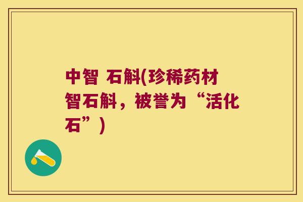 中智 石斛(珍稀药材智石斛，被誉为“活化石”)