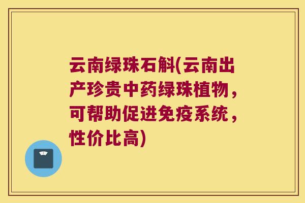 云南绿珠石斛(云南出产珍贵中药绿珠植物，可帮助促进免疫系统，性价比高)