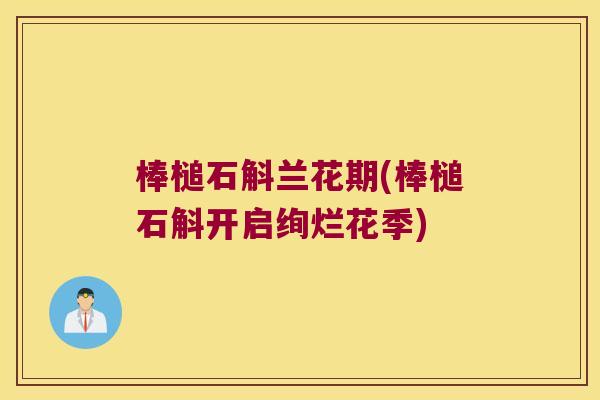 棒槌石斛兰花期(棒槌石斛开启绚烂花季)