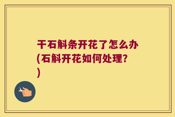 干石斛条开花了怎么办(石斛开花如何处理？)