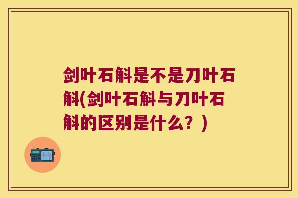 剑叶石斛是不是刀叶石斛(剑叶石斛与刀叶石斛的区别是什么？)