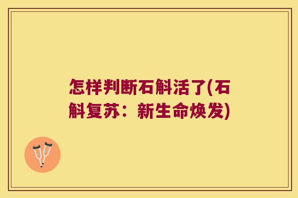 怎样判断石斛活了(石斛复苏：新生命焕发)