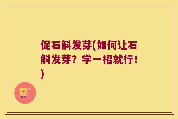 促石斛发芽(如何让石斛发芽？学一招就行！)