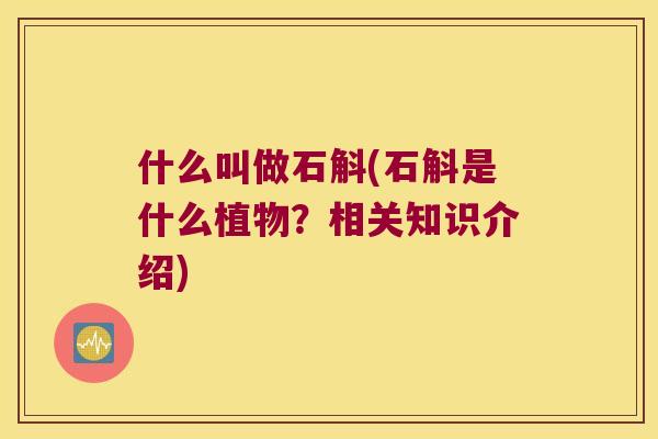 什么叫做石斛(石斛是什么植物？相关知识介绍)