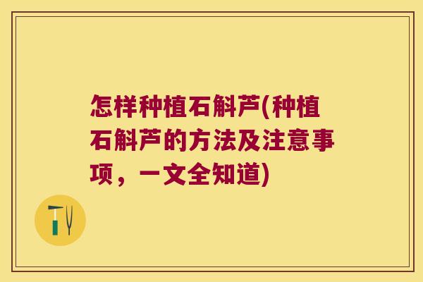 怎样种植石斛芦(种植石斛芦的方法及注意事项,一文全知道) 怎样种植石斛芦(种植石斛芦的方法及注意事项,一文全知道)