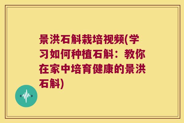 景洪石斛栽培视频(学习如何种植石斛:教你在家中培育健康的景洪石斛) 景洪石斛栽培视频(学习如何种植石斛:教你在家中培育健康的景洪石斛)