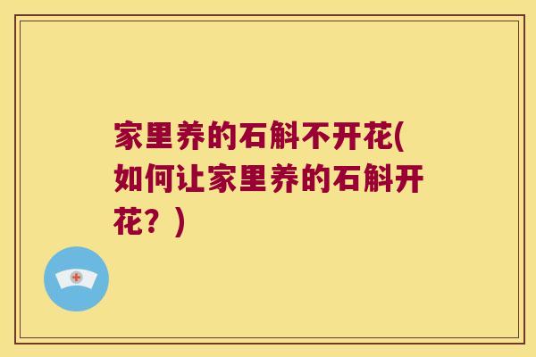 家里养的石斛不开花(如何让家里养的石斛开花？)