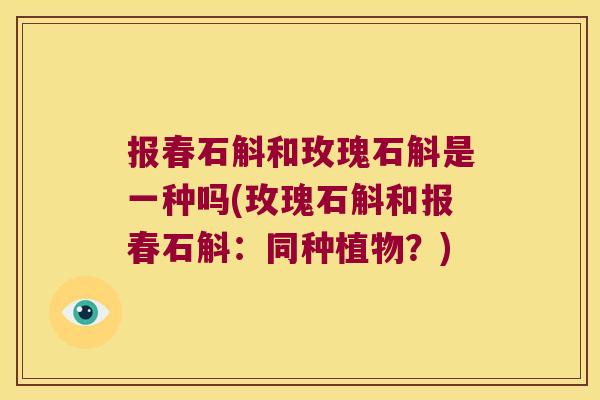 报春石斛和玫瑰石斛是一种吗(玫瑰石斛和报春石斛：同种植物？)