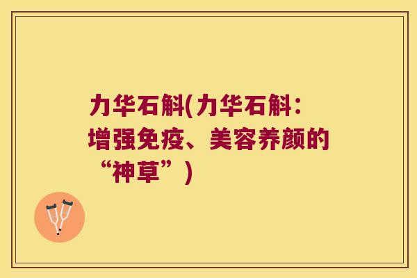 力华石斛(力华石斛：增强、美容养颜的“神草”)