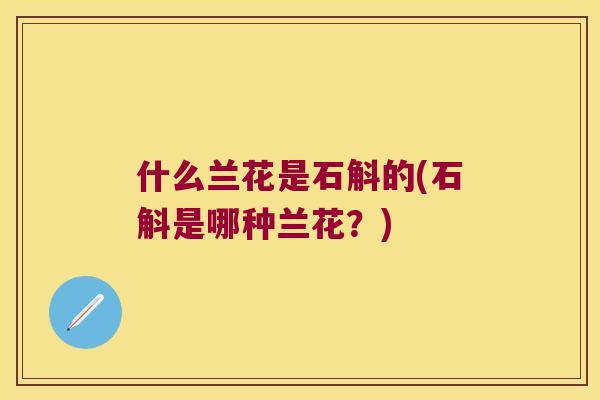 什么兰花是石斛的(石斛是哪种兰花？)