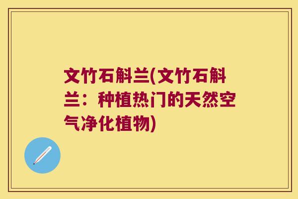 文竹石斛兰(文竹石斛兰：种植热门的天然空气净化植物)