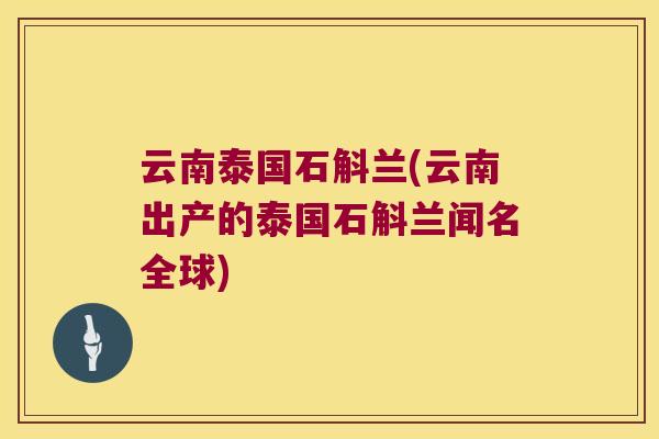 云南泰国石斛兰(云南出产的泰国石斛兰闻名全球)