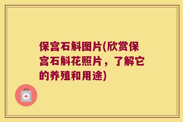 保宫石斛图片(欣赏保宫石斛花照片，了解它的养殖和用途)