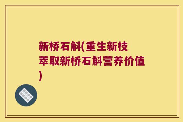 新桥石斛(重生新枝 萃取新桥石斛营养价值) 新桥石斛(重生新枝 萃取新桥石斛营养价值)