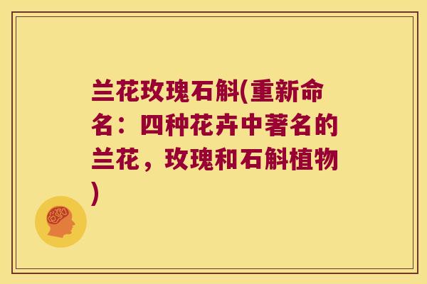 兰花玫瑰石斛(重新命名：四种花卉中著名的兰花，玫瑰和石斛植物)