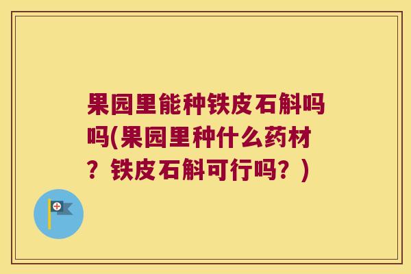 果园里能种铁皮石斛吗吗(果园里种什么药材?铁皮石斛可行吗?) 果园里能种铁皮石斛吗吗(果园里种什么药材?铁皮石斛可行吗?)