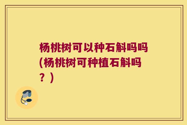 杨桃树可以种石斛吗吗(杨桃树可种植石斛吗？)