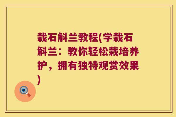 栽石斛兰教程(学栽石斛兰：教你轻松栽培养护，拥有独特观赏效果)