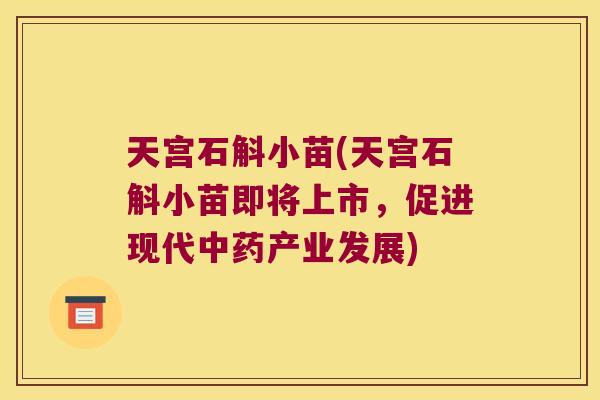 天宫石斛小苗(天宫石斛小苗即将上市，促进现代中药产业发展)