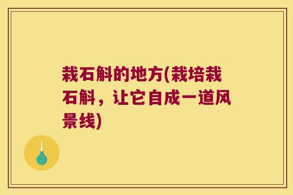 栽石斛的地方(栽培栽石斛,让它自成一道风景线) 栽石斛的地方(栽培栽石斛,让它自成一道风景线)