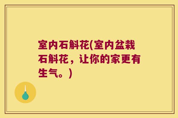 室内石斛花(室内盆栽石斛花，让你的家更有生气。)